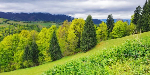 Nature Scenery Forested Hills View Distant Valley Carpathian Mountains Lush — Stock Photo, Image