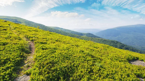 Tepeye Doğru Dik Bir Patika Yazın Karpatlar Dağ Manzarası Başarı — Stok fotoğraf