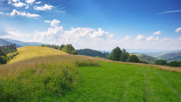 Krajobraz Górski Trawiastą Łąką Widok Odległą Dolinę Wiejską Słoneczny Letni — Zdjęcie stockowe