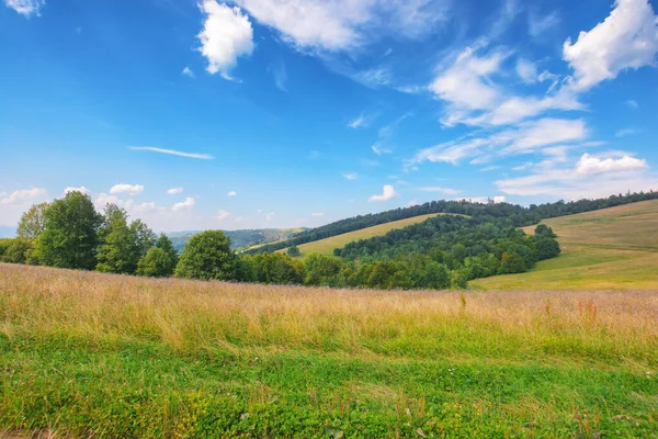 Krajobraz Przyrody Wzgórzami Łąkami Wiejska Dolina Oddali Słoneczne Przedpołudnie Lecie — Zdjęcie stockowe