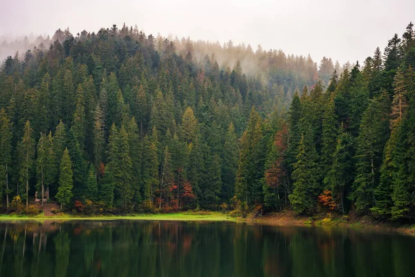 Landschap Met Meer Herfst Mooie Mistige Natuur Achtergrond — Stockfoto