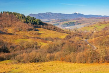 Sonbahar mevsiminde dağlık kırlarda. boş otlaklar ve tepede renkli ağaçlar güneşli bir sonbahar gününde