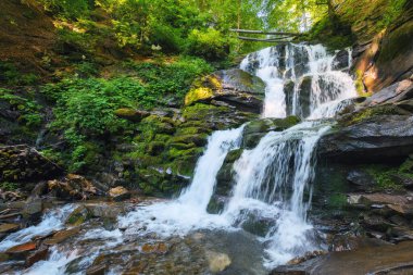 Islak kayaların arasında şelale. Temiz çevre ve temiz su kavramı. Yaz doğa manzarası