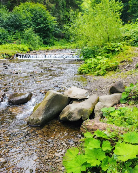 森林里的夏季风景 在树林和大石头之间的一条小河 — 图库照片