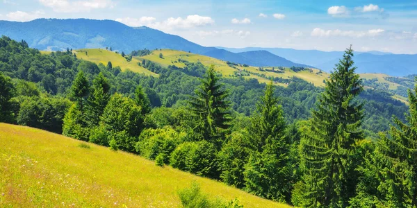 喀尔巴阡山森林覆盖的乡村 在阳光明媚的夏日 高山上的绿色风景 — 图库照片
