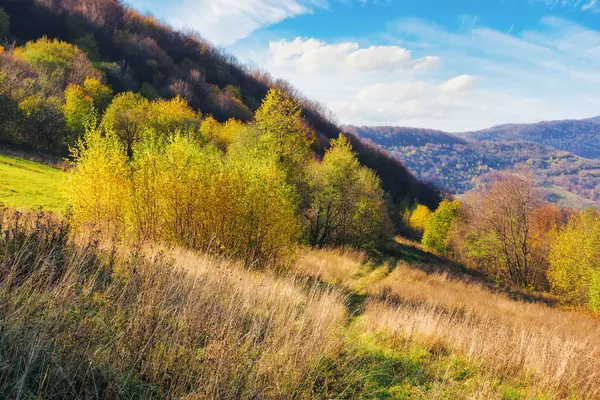 秋天的山地乡村 在一个阳光明媚的秋日 山上空旷的草地和五彩缤纷的树木 — 图库照片
