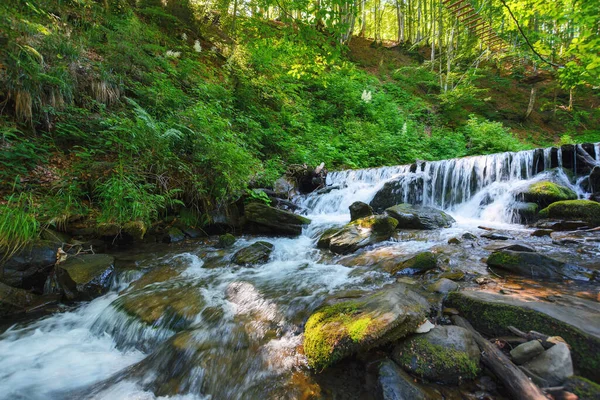 Potok Lese Divoká Příroda Pozadí Mokré Skály Břehu Jasný Letní — Stock fotografie