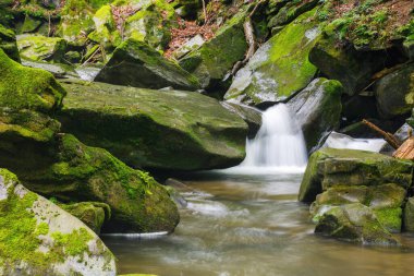Deredeki taşlar. Yazın kırsal doğa manzarası