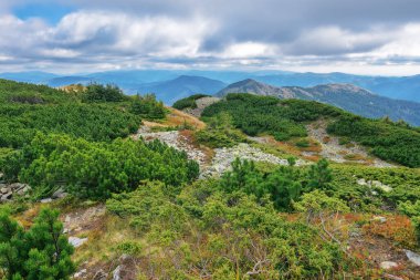 Dağın tepesinde taş vardı. Uzak dağ sırasının güzel manzarası. Gökyüzü bulutlu Ukraynalı Karpatların manzarası