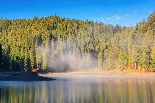Sunny Landscape Lake Autumn Fog Water Surface Sky Trees Reflection — Stock Photo, Image