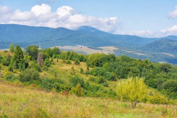 stock image grassy meadow with forested hills. beautiful carpathian mountain landscape on a sunny day in autumn. distant ridge beneath a sky with clouds