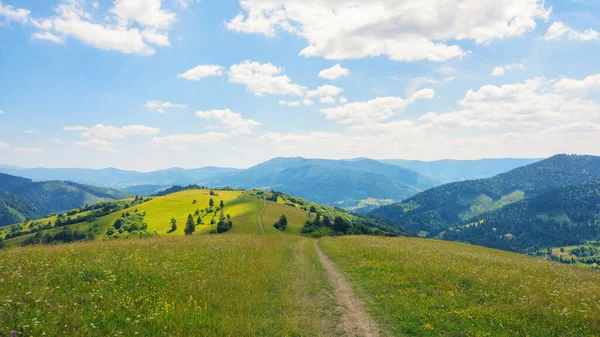 穿过乡村的田野和山丘上的草地 喀尔巴阡山乡村在夏天 山脉在远处 阳光灿烂的下午天气 — 图库照片