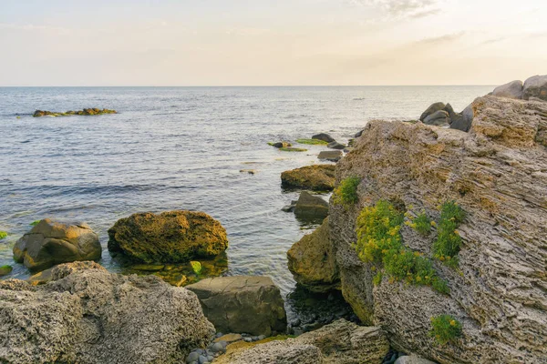 Sea Coast Stones Boulders Morning Summer Vacation Background — Stockfoto