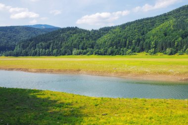 Dağ nehri manzarası. Karpatlar ekoloji felaketi. Plastik çöpler kıyıda