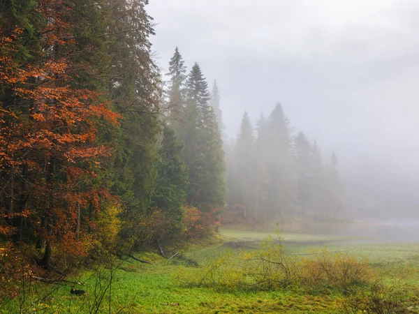 Synevyr湖霧の朝 秋の美しい自然景観 ウクライナの人気のある旅行先 — ストック写真