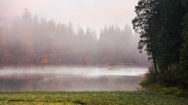 Synevyr湖霧の朝 秋の美しい自然景観 ウクライナの人気のある旅行先 — ストック写真
