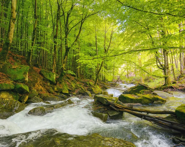 Река Парке Среди Валунов Природные Пейзажи Открытом Воздухе Весной — стоковое фото