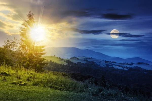 昼と夜の時間変化の概念 夕暮れ時に太陽と月と共に山の中で清算の端にあるモミの木 — ストック写真