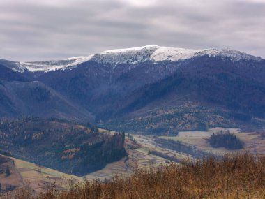 Tepesi karla kaplı bir dağ sırası. Karpatya kırsalının soğuk Kasım manzarası