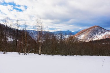 Karla kaplı çayırdaki orman. Karpat dağlarında sıcak kış bulutlu bir günde
