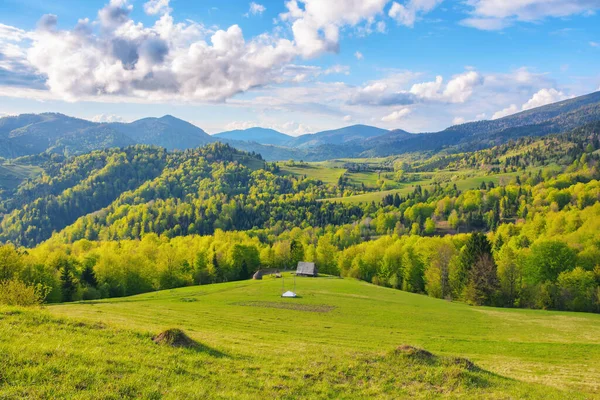 carpathian rural landscape in spring. trees on the grassy hills rolling in to the distant valley. wonderful scenery in warm evening light. fluffy clouds on the blue sky