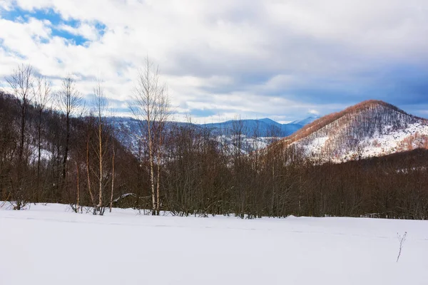 雪に覆われた草原の森 曇りの日のカルパチア山脈の暖かい冬 — ストック写真