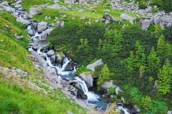 Szybki Strumień Wody Wśród Kamieni Głazów Piękne Krajobrazy Górach Rumuńskich — Zdjęcie stockowe