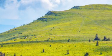Çimenli çayırları olan karpatlar. Yazın dağ manzarası