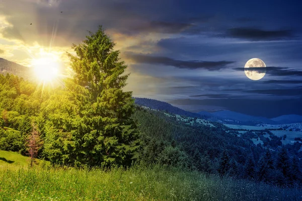 昼夜变化的概念 高山上的针叶林 天气晴朗 黄昏时 日月相映 — 图库照片