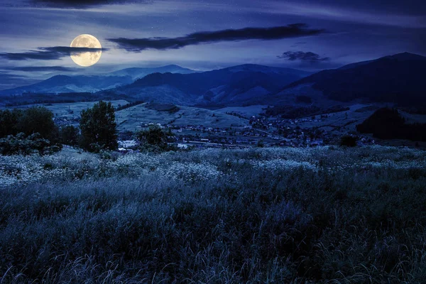 丘の中腹に山の中で和解に直面して野生のハーブと牧草地夜 満月の光の中で美しい田園風景 — ストック写真