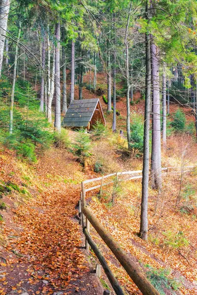 Carpathian Ormanı Nda Sonbahar Renklerinde Doğa Manzarası Turizm Sonbahar Yürüyüşü — Stok fotoğraf