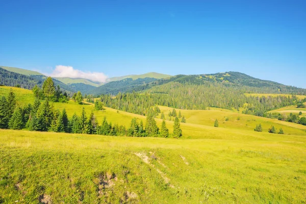 草の牧草地を持つカルパティア地方です 山の中の夏の風景 ウクライナのボルツハヴァ尾根の麓の田園風景 — ストック写真