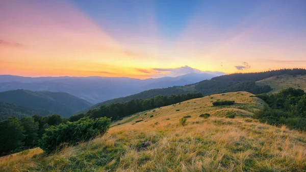 stock image green carpathian mountainous scenery of ukraine. meadows and forested hills beneath a sky with sunrays through clouds. warm summer scenery at dusk