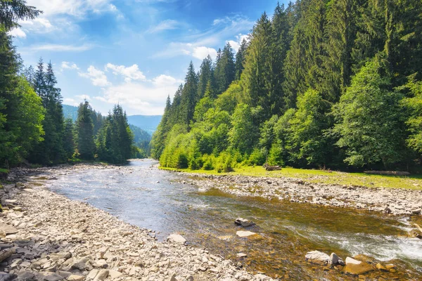 Górska Rzeka Kemping Świeżym Powietrzu Podróżować Carpathains Lecie Krajobraz Wśród — Zdjęcie stockowe
