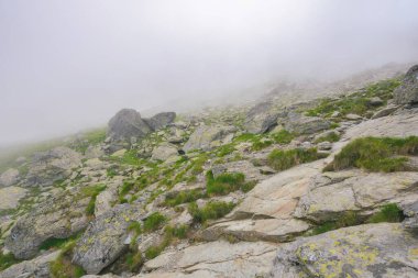 Sisli bir günde doğa manzarası. Yazın dağlık bir manzara. Dik ve nemli yamaçlarda kayalar ve kayalar olan zorlu bir arazi.