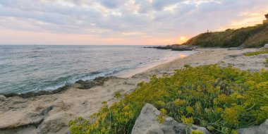 Güneş doğarken deniz manzarası. Bulutlu bir sabahta boş bir sahilde rahatla. Kayaların arasında sarı bitkiler