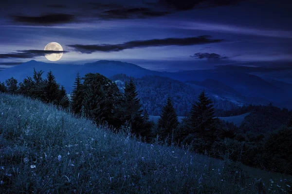 夜半时分 山坡上长着针叶树的雪地 月光下美丽的乡村风景 — 图库照片