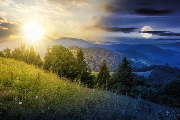 昼と夜の時間変化の概念 夕暮れ時に太陽と月が丘の中腹にある針葉樹の木に恵まれ — ストック写真