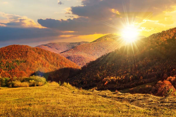 日没の秋の風景 夜になると赤や黄色の葉で覆われた山の中の森 — ストック写真