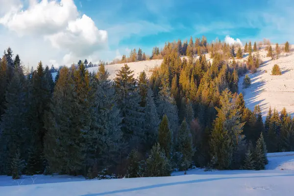 Kış Manzarası Orman Kıpkırmızı Karla Kaplı Tepelerde Ağaçlarla Kaplı Manzara — Stok fotoğraf
