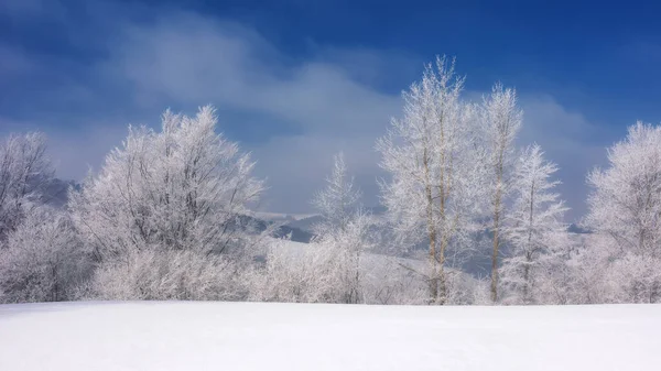 Kış Manzarası Orman Kıpkırmızı Karla Kaplı Tepelerde Ağaçlarla Kaplı Manzara — Stok fotoğraf