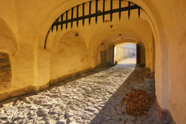 stock image medieval entrance with gates. architectural background