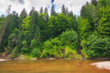 Sığ nehirli kırsal bir manzara. Tepedeki orman. Karpatya bölgesinde kuraklık ve ekoloji felaketi