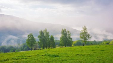 Orman tepeleri olan Carpathian kırsalında. Sis dolu uzak vadiye bakın. İlkbaharda bulutlu bir sabah