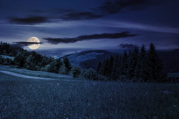 晚上在山上的一个大草原上 山上有松树 月光下美丽的乡村风景 — 图库照片