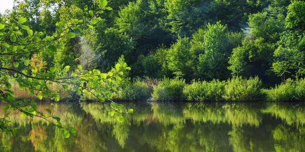 Staw Lasach Bukowych Krajobraz Przyrody Drzewami Odbijającymi Się Powierzchni Wody — Zdjęcie stockowe