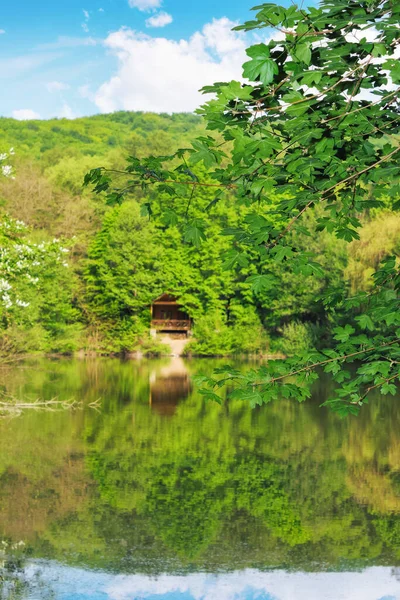 Lago Entre Floresta Natureza Paisagem Com Reflexão Sobre Água Verão — Fotografia de Stock