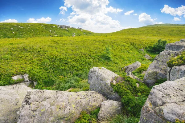 长满青草的高山草地上的石头和岩石 夏日阳光灿烂的山景 眺望远山 — 图库照片