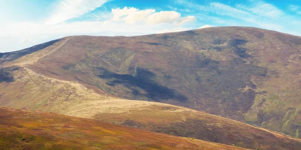 Karpaten Hooglanden Herfstkleuren Natuur Achtergrond Met Kleurrijke Alpine Heuvels Weiden — Stockfoto