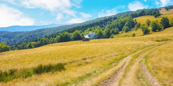 Landelijke Weg Door Groene Weiden Beboste Glooiende Heuvels Karpaten Zomer — Stockfoto